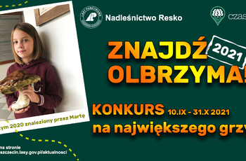 znajdz olbrzyma 2021