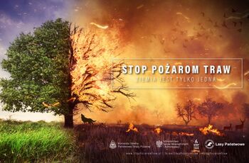 Stop Pozarom 01