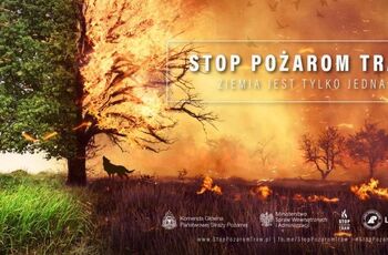 pozary traw2025