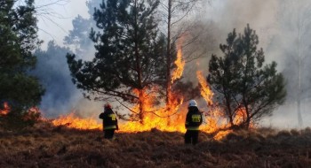 Wysokie zagrożenie pożarowe na terenach leśnych