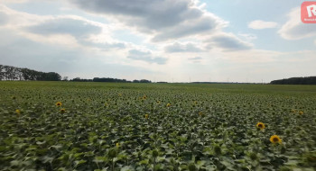Sielskie ujęcia z lotu ptaka. Małe żniwa w letniej odsłonie gminy Resko